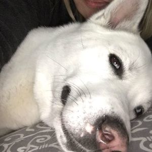 Meet your Posher, Lucy